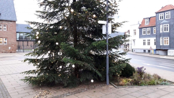 Unbekannte haben den geschmückten Weihnachtsbaum am Landratsamt beschädigt.