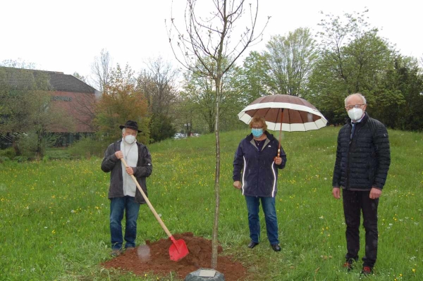 Kreisbeigeordneter a. D. Heinrich Heidel legte selbst Hand an bei der Pflanzung seines Ehrenbaumes, einer Traubeneiche. Mit dabei seine Ehefrau Monika und Landrat Dr. Reinhard Kubat. 
